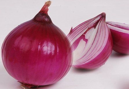 塑料菜板 切洋蔥